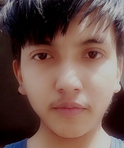 racl_pic